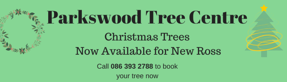 Christmas trees new ross